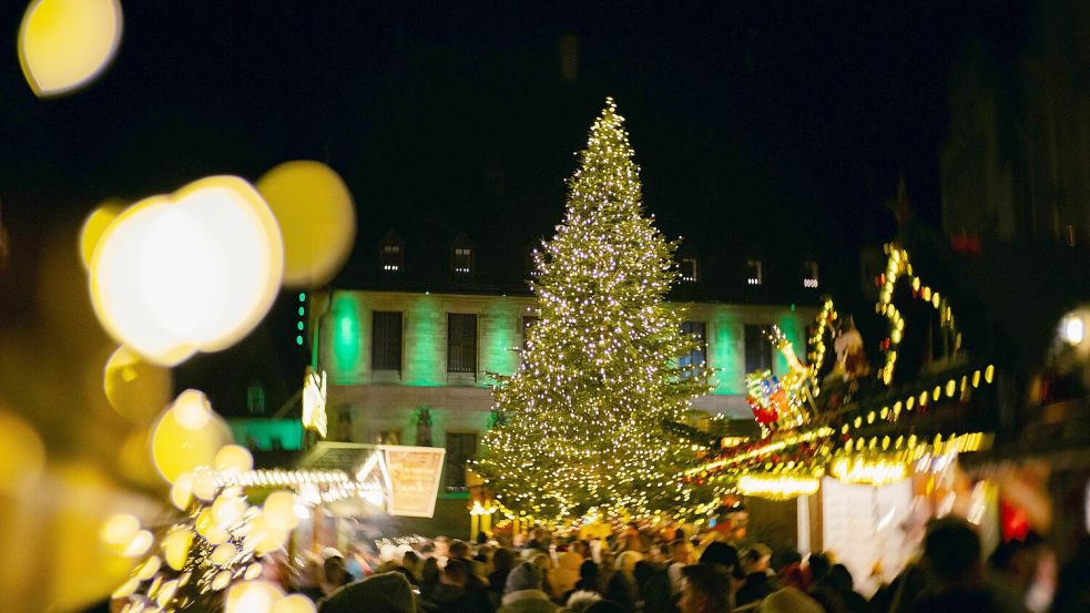 Auf dem Osnabrücker Weihnachtsmarkt sorgen zahlreiche Tannenbäume für Stimmung. Nach dem Markt wandern diese in den Container und wer möchte, kann sich hier einen davon gratis abholen. Foto: Sebastian Dannenberg