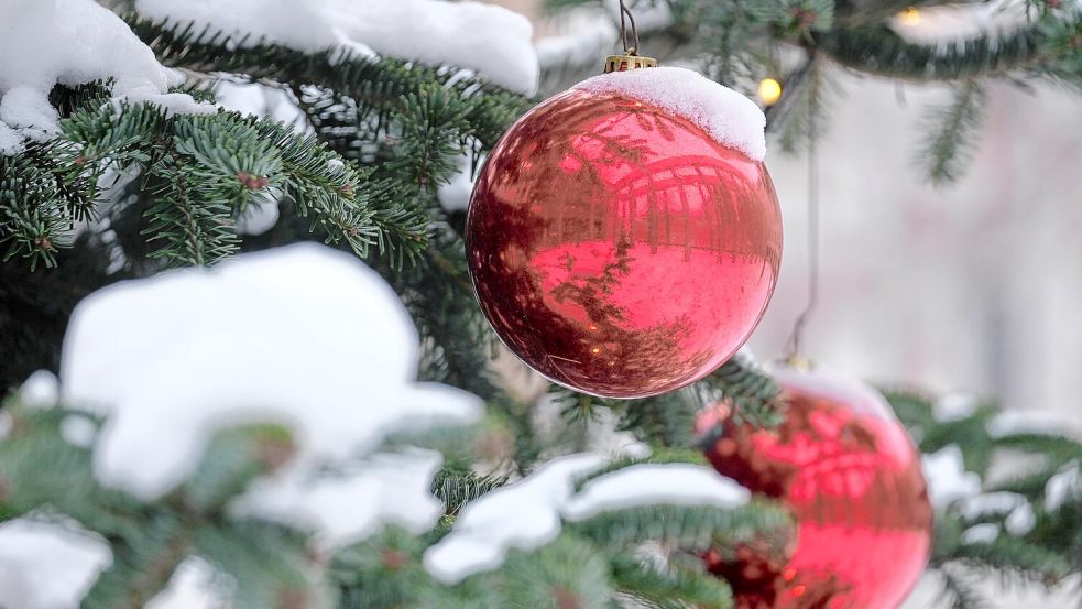 Ob wir in diesem Jahr in der Region Osnabrück weiße Weihnachten erleben, ist mehr als fraglich. Foto: dpa/Sebastian Willnow