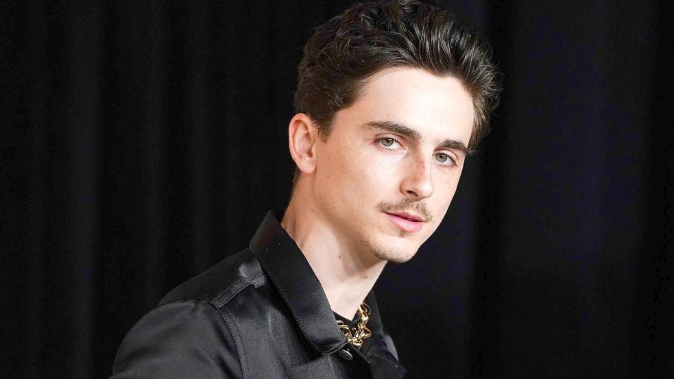 Timothée Chalamet gilt aktuell als einer der gefragtesten Schauspieler Hollywoods (Archivbild). Foto: Jordan Strauss/Invision/dpa