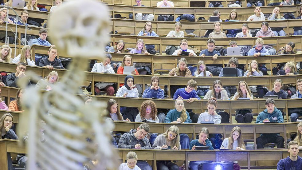 Gibt es Anatomievorlesungen künftig auch in Osnabrück? Bis es so weit ist, lohnt sich der Blick nach Brandenburg. Da hat eine private Hochschule das geschafft, was die hiesige Region vorhat. Foto: dpa / Jan Woitas