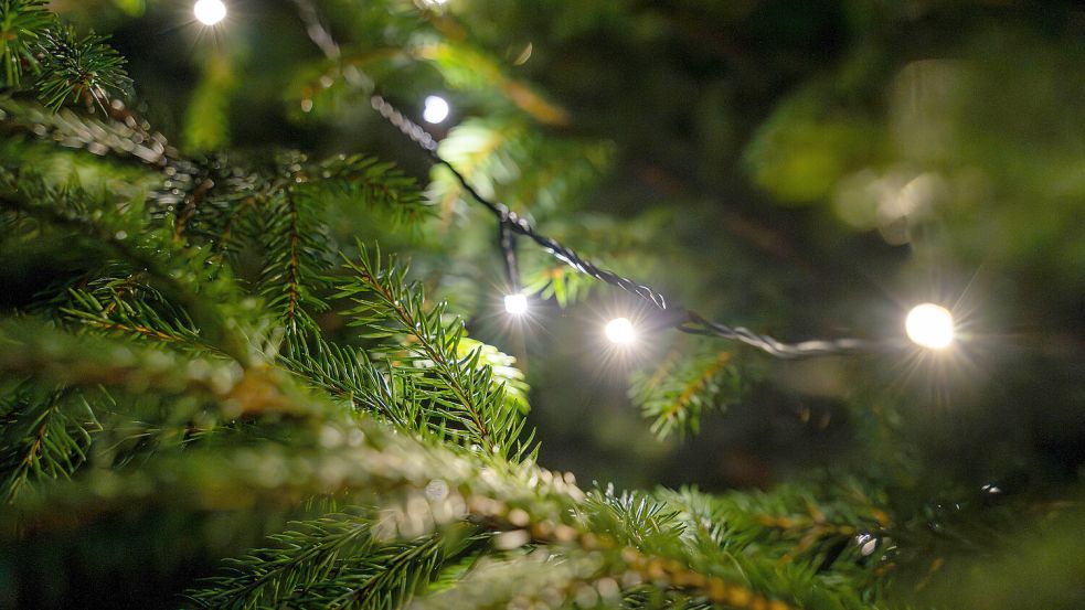 Ein Hoffnungsschimmer? Die besinnliche Stimmung am Weihnachtsfest will manchmal nicht aufkommen. Foto: IMAGO/Bihlmayerfotografie