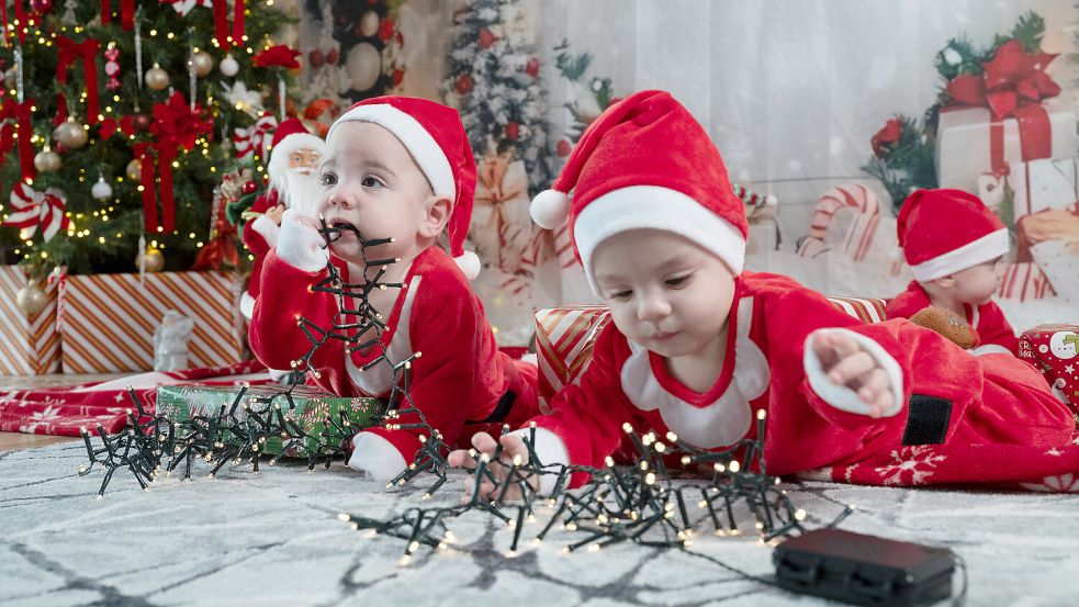 Licherketten, Kugeln und andere Weihnachtsdekoration sind vor den Vierlingen inzwischen nicht mehr sicher. Alle vier Kinder krabbeln durch die Wohnung. Foto: Klaus Ortgies