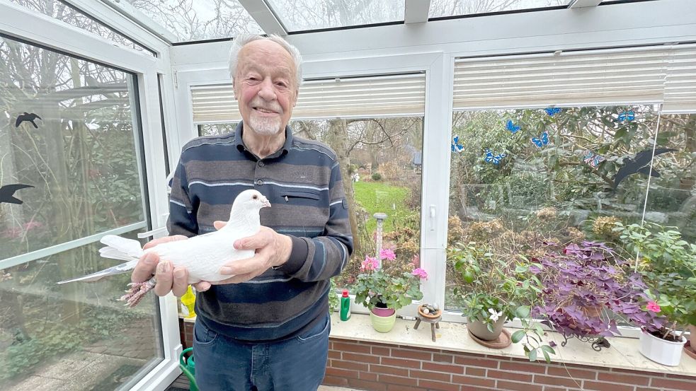 Detert Feddinga mit einer seiner Brieftauben. Foto: Holger Janssen