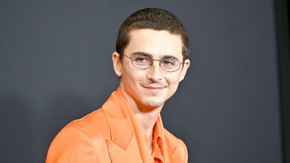 Timothée Chalamet ist bald im neuen Film „Marty Supreme“ zu sehen (Archivbild). Foto: Evan Agostini/Invision/AP/dpa