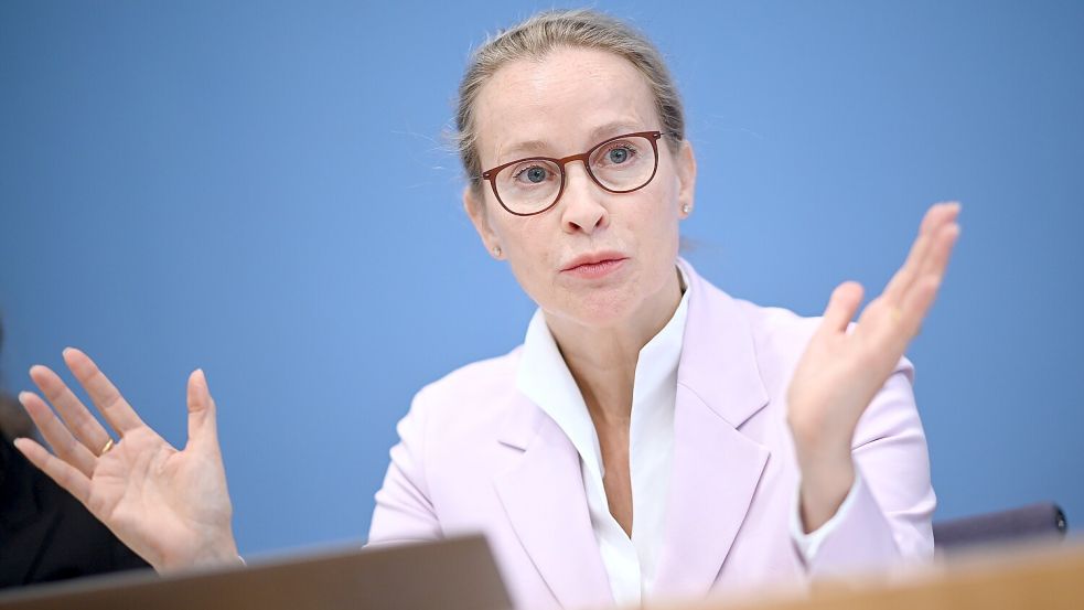 Heiß diskutierte Kandidatin für ein Richteramt: Fauke Brosius-Gersdorf Foto: dpa