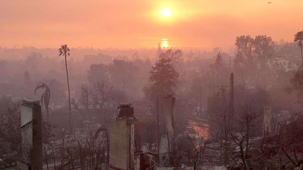 Die Verwüstung durch das Palisades-Feuer in Los Angeles. (Archivbild) Foto: Jae C. Hong/AP/dpa