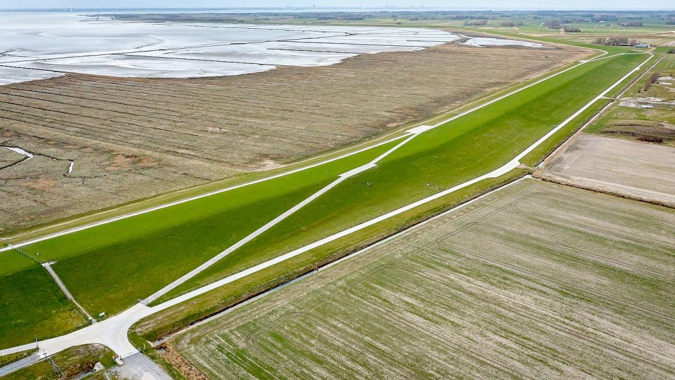Einige Wissenschaftler appellieren an die Politik, auch einen Rückzug aus tiefer gelegenen Küstenregionen zu erwägen. (Archivbild) Foto: Sina Schuldt