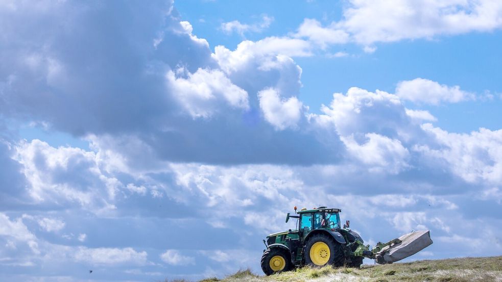 Es lohnt sich oft nicht: Die Produktionskosten für Agrarprodukte liegen teils über den Verkaufspreisen. (Archivbild) Foto: Jens Büttner