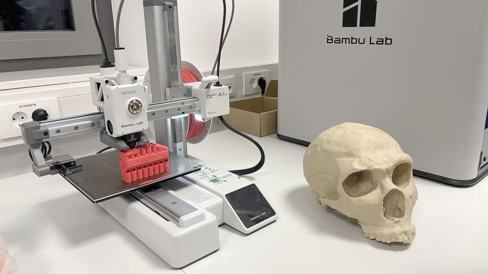 In einem 3D-Drucker kann sogar ein Schädel nachgebaut werden. Foto: Lasse Paulsen