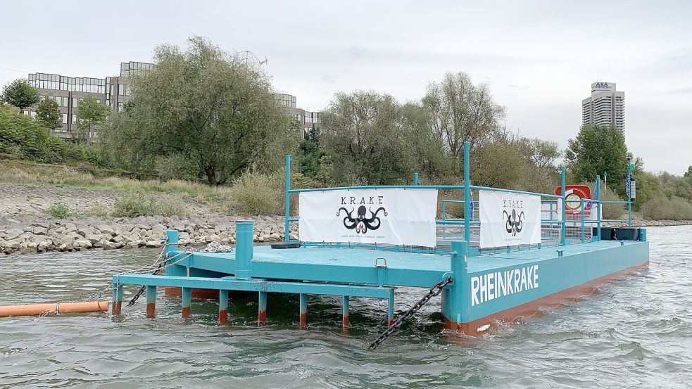 Die Müllfalle – genannt „Rheinkrake“ – schwimmt an ihrer Position auf dem Rhein in Köln. (Archivbild) Foto: Leandra Hamann/Universität Bonn/