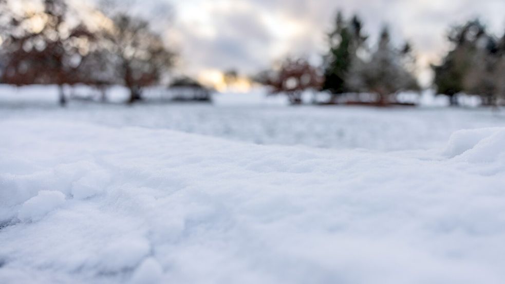 Sturmtief Elli könnte in der Region Osnabrück am Freitag für ein massives Schneechaos sorgen. Das Archivfoto zeigt die Winterlandschaft am Samstag, 3. Januar, am Osnabrücker Westerberg. Foto: Denise Matthey
