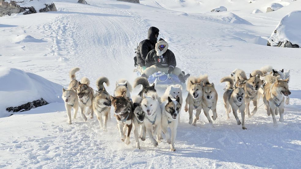 Nicht nur Touristen, auch die Streitkräfte in Grönland wollen auf Hundeschlitten nicht verzichten Foto: dpa/imageBROKER/Norbert Eisele-Hein