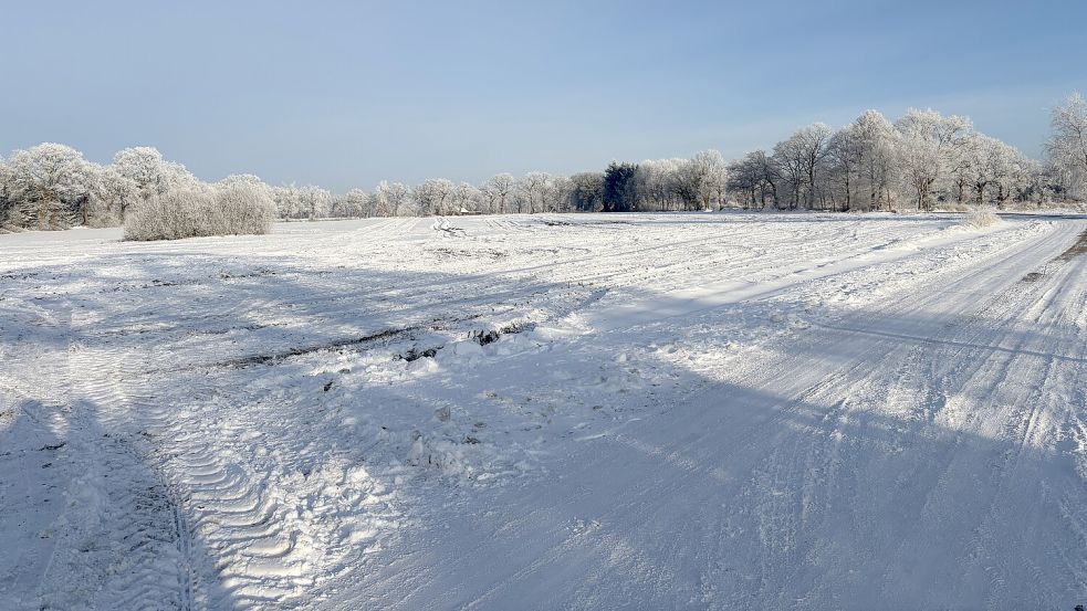 Noch ist es weiß auf Aurichs Feldern. Das wird sich mit einsetzendem Tauwetter zu Wochenbeginn langsam ändern. Foto: Mieke Matthes