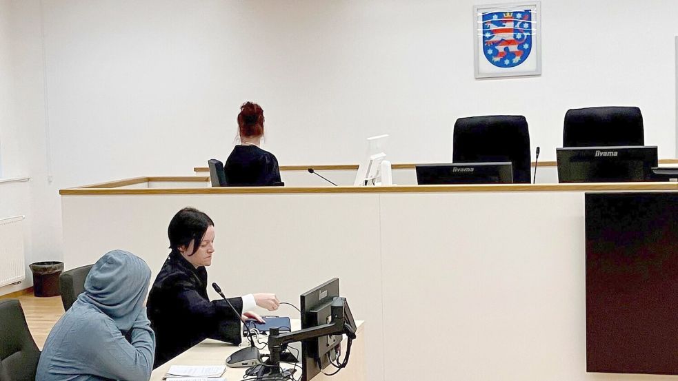 Die Angeklagte wurde des Totschlags für schuldig gesprochen und erhielt eine Bewährungsstrafe. (Archivbild) Foto: Annett Gehler/dpa