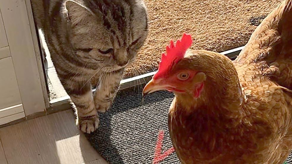 März: Das Leserfoto „Freundschaft kennt keine Grenzen“ stammt von Hannelore Debelts aus Aurich.