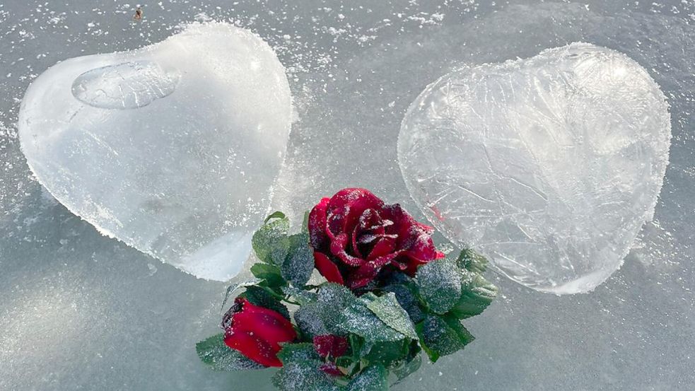 Februar: Das Leserfoto „Nachträglicher Valentinsgruß“ stammt von Gisela Schmidt aus Südbrookmerland-Moordorf.