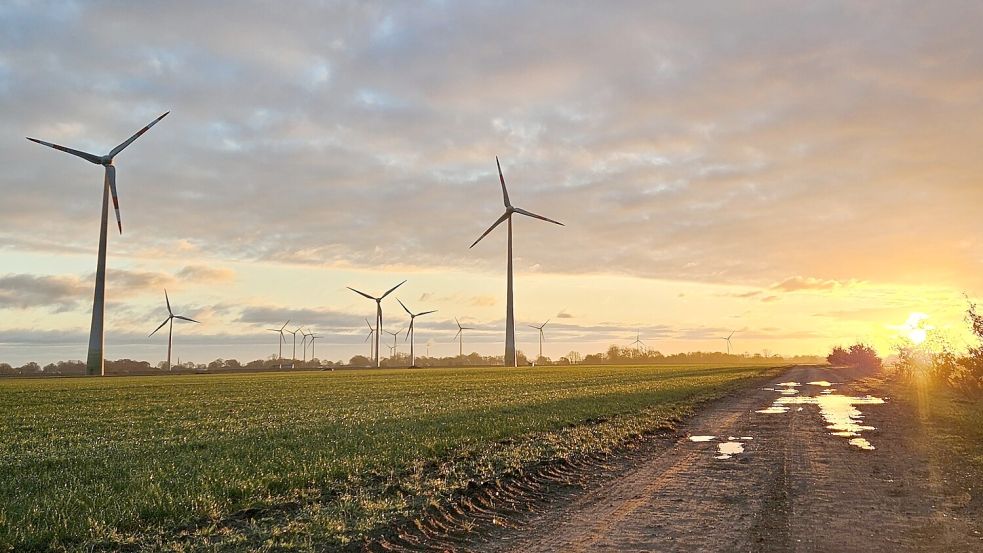 Mit dem Bau des „Windparks Grashaus“ nahe Wirdum steigt die Firma Enova ins Windgeschäft im Brookmerland ein. Foto: Enova