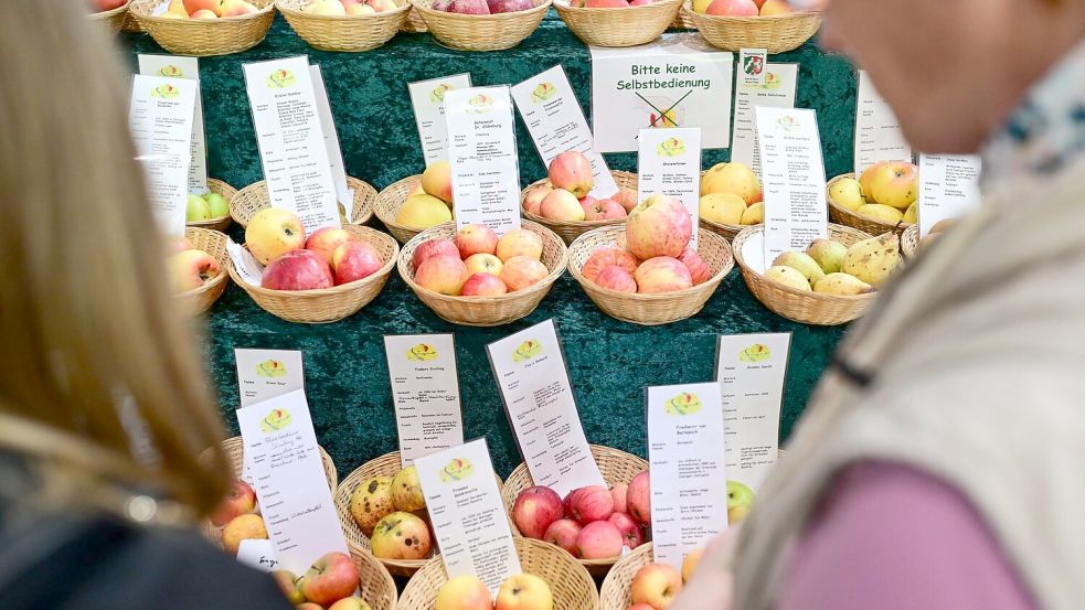 Besucher können sich über Lebensmittel informieren. Foto: Sebastian Christoph Gollnow/dpa