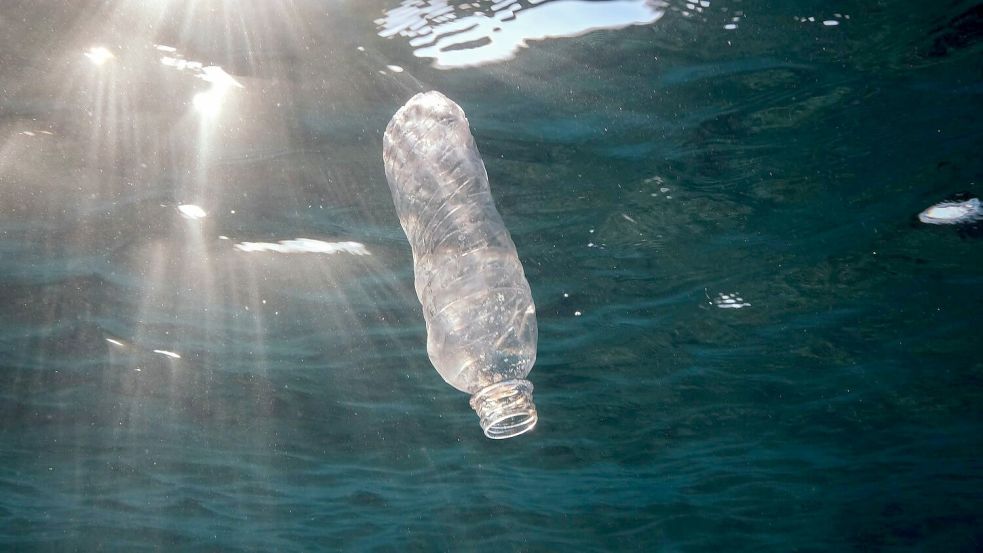 Vorgesehen sind auch Umweltverträglichkeitsprüfungen vor der Genehmigung von Eingriffen und Aktivitäten. (Archivbild) Foto: Andrey Nekrasov