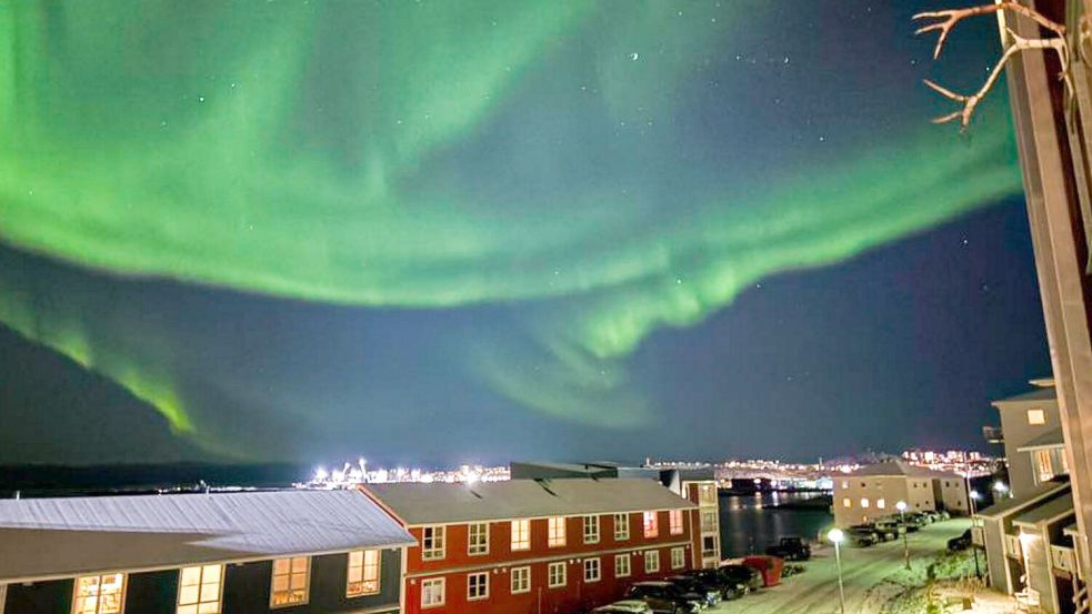 Trump will Grönland kontrollieren. Foto: Alyona Kekhler