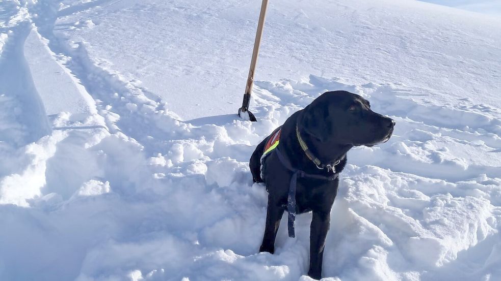 Auch Hunde waren nach dem Lawinenabgang am Finsterkopf im Einsatz. Foto: Unbekannt