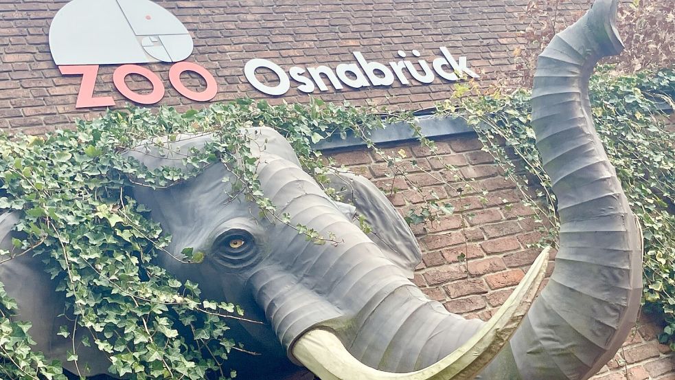 Der Osnabrücker Zoo ist auch mit rund 600.000 Besuchern jährlich einer der größten Publikumsmagneten der Region. Foto: Sebastian Stricker