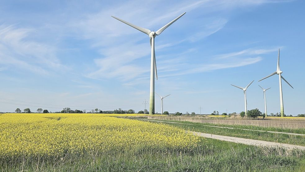 Die meisten Windräder auf Brookmerlander Gebiet drehen sich bisher im Windpark Eidelweg in der Gemeinde Osteel. Foto: Sarah Dirks