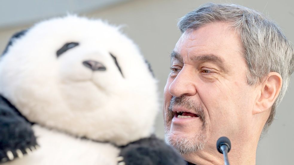 Noch hat Söder (r) nur einen Plüschbären in seinem Büro, doch spätestens 2028 soll es echte Tiere in München geben. Foto: Peter Kneffel/dpa