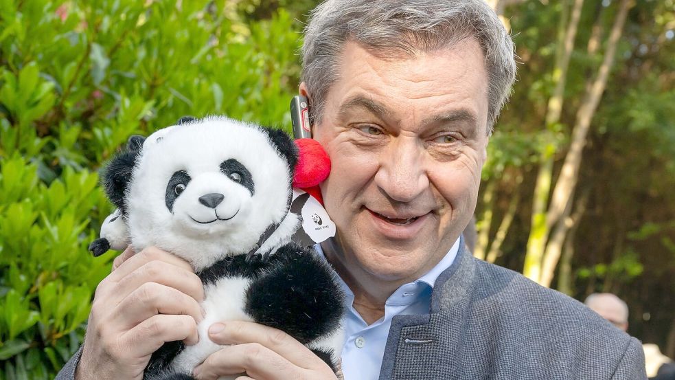 Auch Bayerns Ministerpräsident Markus Söder (r.) hat Gefallen an Pandas gefunden. (Archivbild) Foto: Peter Kneffel/dpa