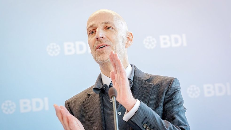 BDI-Präsident: Auch Industrie muss Hausaufgaben machen. Foto: Kay Nietfeld/dpa