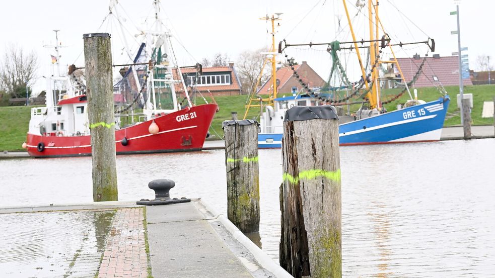 Am Greetsieler Hafen werden die alten Holzpfähle zur Befestigung ausgetauscht. Sie sind in keinem guten Zustand mehr. Fotos: Heinz Wagenaar