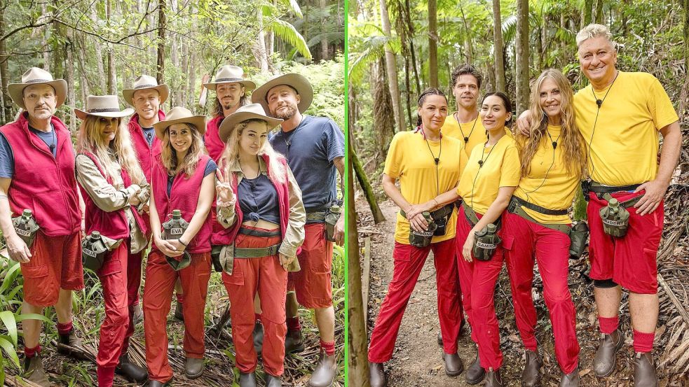 Die Bewohner des Dschungelcamps wohnen seit dem zweiten Tag alle zusammen. Foto: Patrick Heffels/RTL/dpa