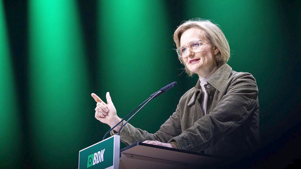 Grünen-Chefin Franziska Brantner spricht sich für mehr Unterstützung aus Deutschland für die Ukraine aus. (Archivbild) Foto: Moritz Frankenberg