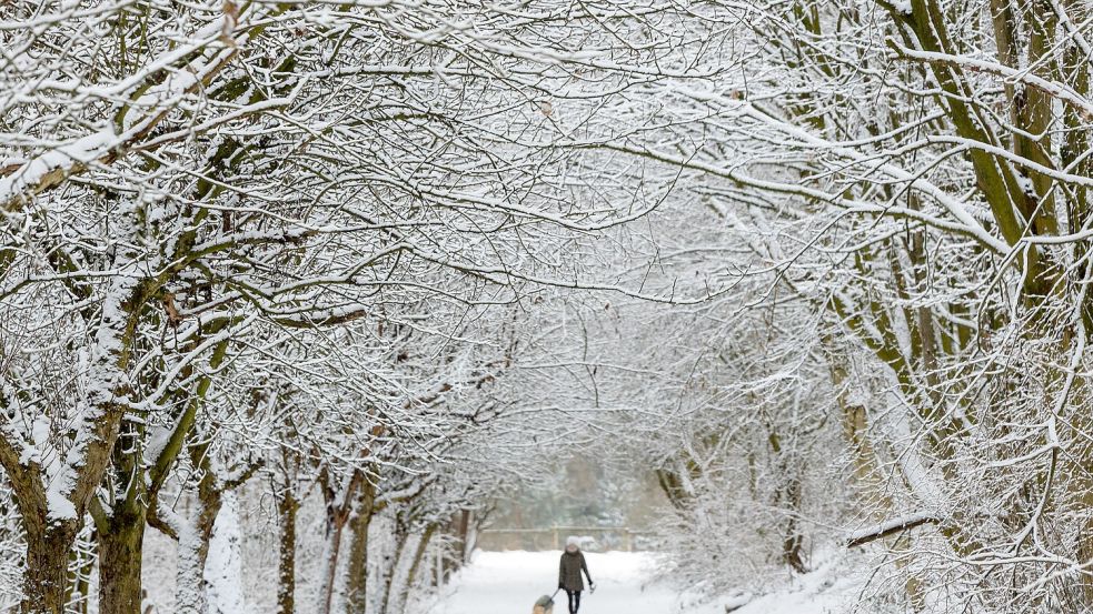 In der Nacht zum 10. Januar 2026 hat es in Osnabrück kräftig geschneit. Bei Temperaturen von bis zu minus sieben Grad zeigt sich die Stadt im winterlichen Gewand. Foto: Benjamin Beutler
