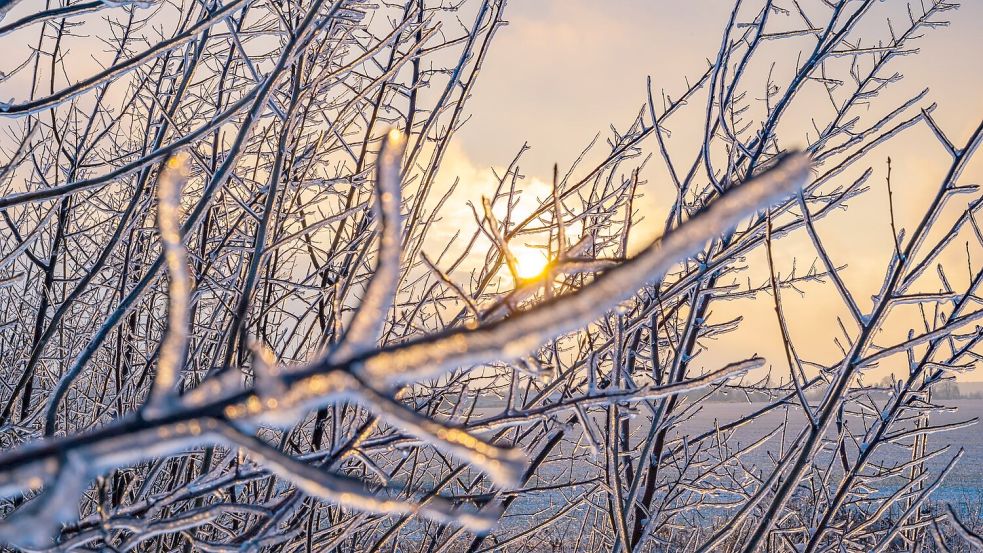 Das winterliche Wetter hält in vielen Regionen an. Foto: Patrick Pleul