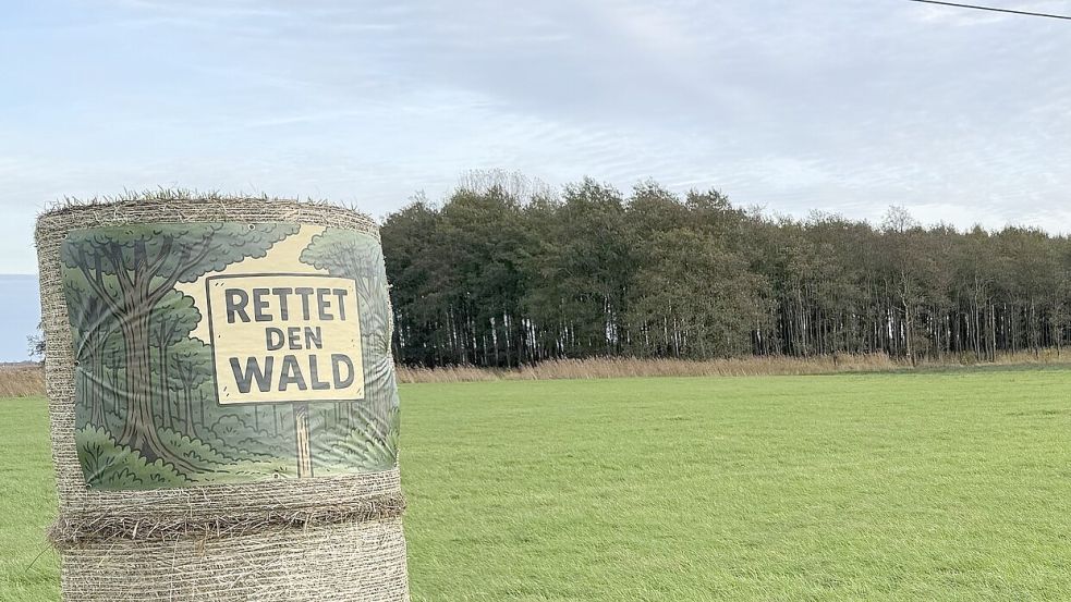 Dem Wald in Forlitz-Blaukirchen droht die Abholzung. Foto: Holger janssen