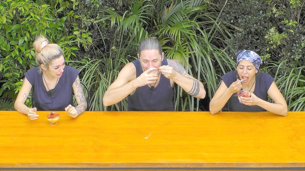 Kamelhirn und Kuhurin standen auf der Speisekarte. Foto: RTL/dpa