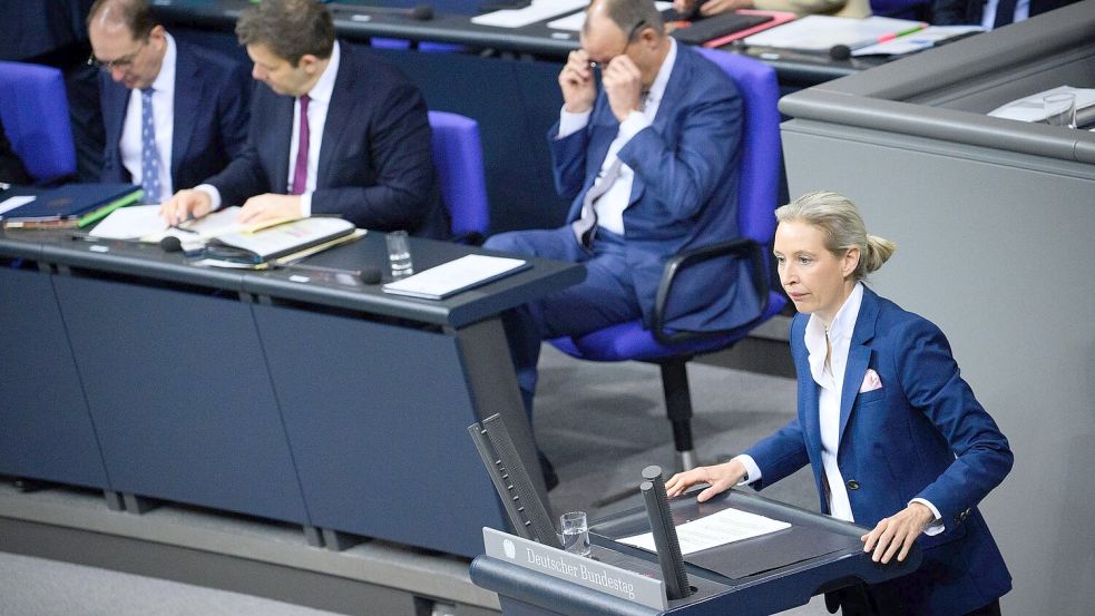 Weidel will Außenpolitik an nationalen Interessen ausrichten. Foto: Bernd von Jutrczenka/dpa