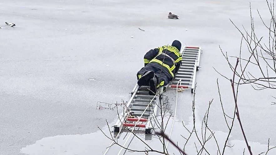 Gesichert an Seilen arbeitet sich der Feuerwehrmann auf Steckleitern zu der festgefrorenen Gans vor. Foto: privat