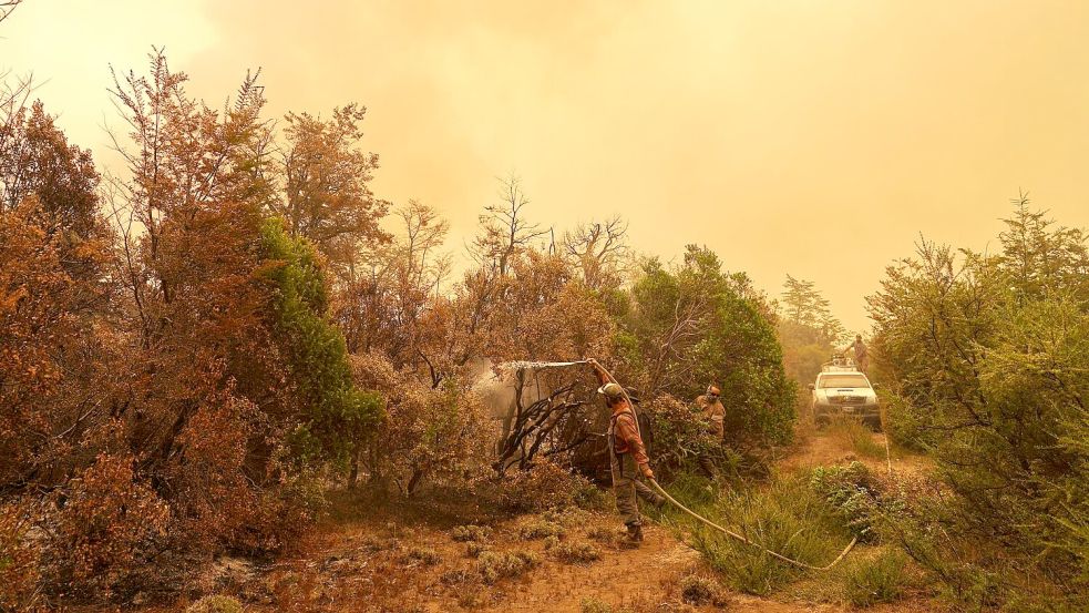 Betroffen sind Teile der Provinzen Chubut, La Pampa, Neuquén und Río Negro. Foto: Victor R. Caivano/AP/dpa