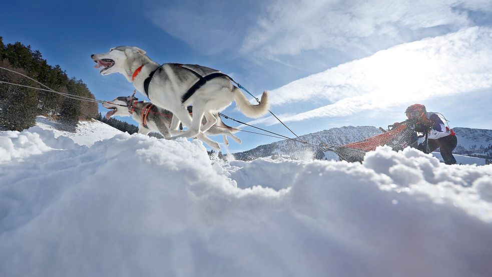 Teams aus etlichen Ländern in Europas gingen im bayerisch-österreichischen Grenzgebiet an den Start. Foto: Karl-Josef Hildenbrand