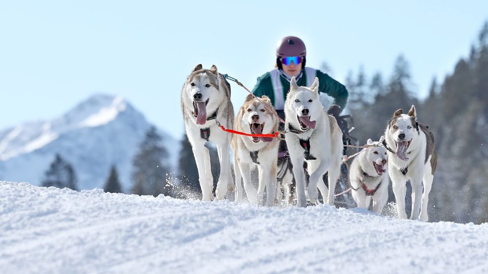 Die Strecke gilt als technisch anspruchsvoll. Foto: Karl-Josef Hildenbrand