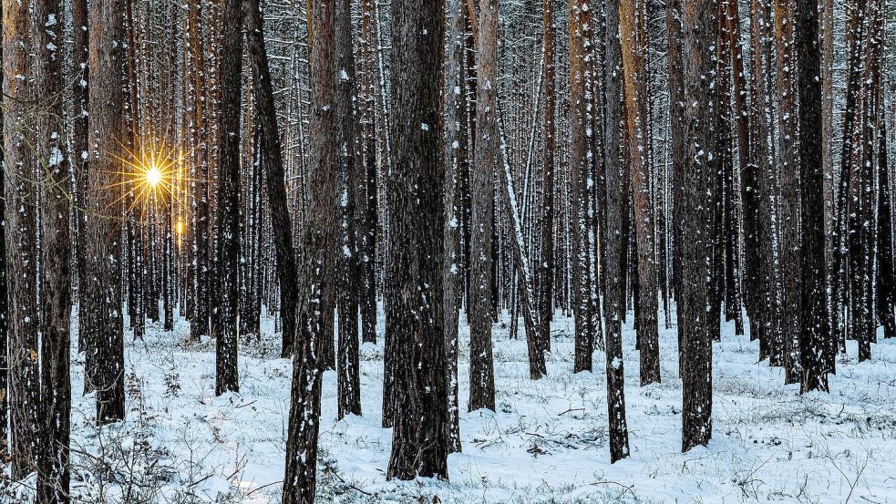 Im Winter muss der Körper auf die Vitamin-D-Speicher im Körper zugreifen. (Symbolbild) Foto: Frank Hammerschmidt