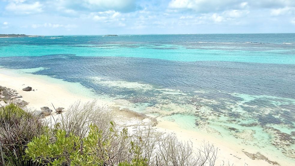 Das Meer vor Westaustralien gilt als besonders rau und ist für ein hohes Hai-Vorkommen bekannt. (Archivbild) Foto: Carola Frentzen