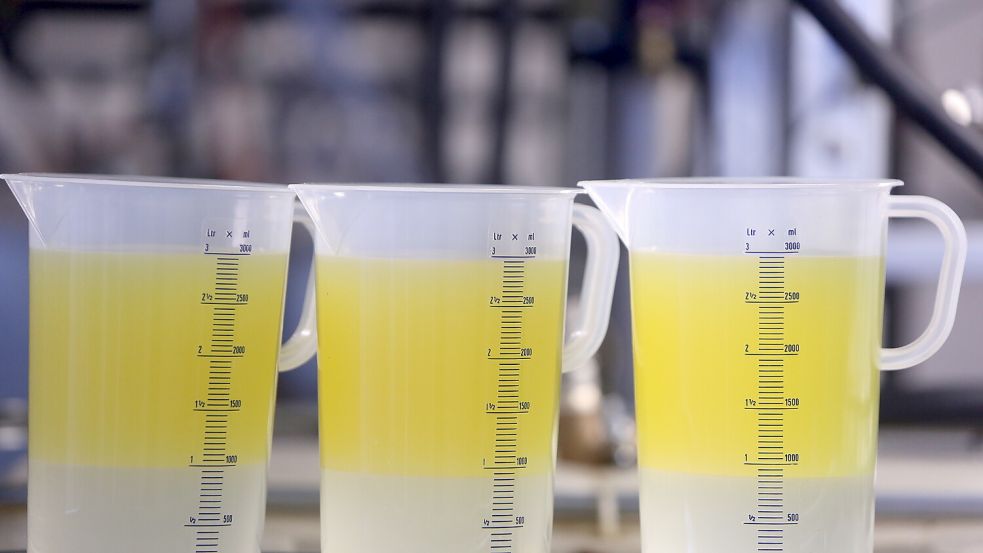 Mit diesen angeblich aus Tests hervorgegangenen Messreihen wollte ein Papenburger Unternehmer 2013 den Erfolg seines Verfahrens dokumentieren. Je zur Hälfte seien die Behälter mit Wasser und Diesel (gelb) gefüllt gewesen. Nach der Wirbelwandlerbehandlung sei der Diesel-Anteil in den Drei-Liter-Krügen um 0,5 bis 0,7 Liter höher gewesen. Foto: Ole Cordsen/Archiv