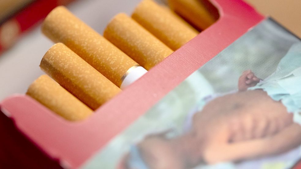 Eine geöffnete Zigarettenpackung (Illustration) Foto: Sven Hoppe