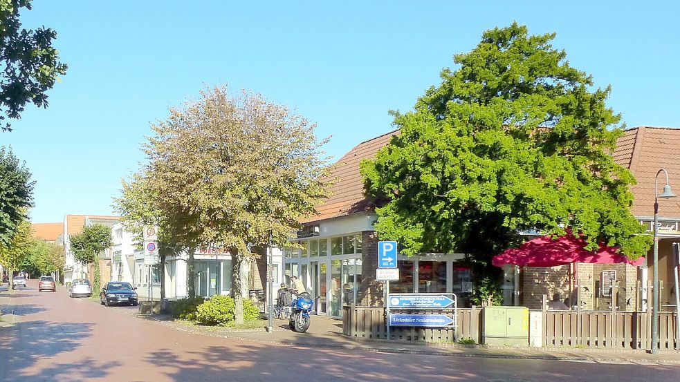 Die kapitale Eibe an der Ecke Rosenstraße/Gartenstraße in Marienhafe (hier rechts in einem Foto aus dem Jahr 2019) wurde gefällt. Foto: Sammlung Ingo Thiele
