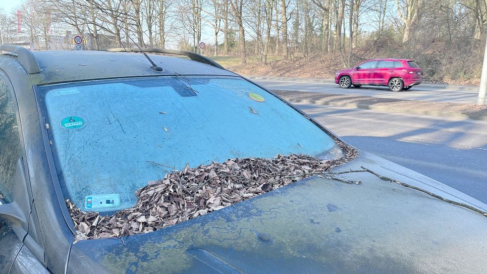 Mehr als acht Monate stand dieser Ford am Kurt-Schumacher-Damm in Osnabrück, nachdem die Polizei ihn aus dem Verkehr gezogen hatte. Foto: Jörg Sanders