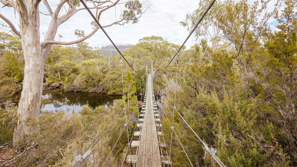 Ein Drittanbieter hatte mittels KI Inhalte für die Reisewebsite erstellt - wobei ein dicker Fehler unterlief. Foto: IMAGO/Zoonar