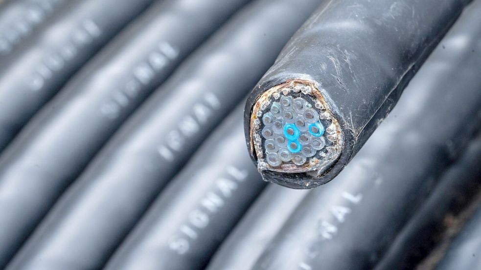 Höchstwahrscheinlich wegen Kabelschäden an einem Bahnübergang kommt es auf der Bahnstrecke zwischen Erfurt und Sangerhausen zu Beeinträchtigungen. (Symbolbild) Foto: Stefan Puchner/dpa